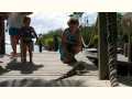 Cindi feeding the Iguanas