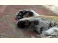 Tessa has big feet