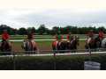 Track Stewards