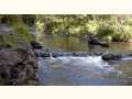 Rushing waters