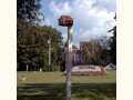 Bird House