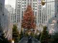 Rockefeller Center Christmas Tree