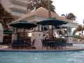 Pool Bar includes a lunch area